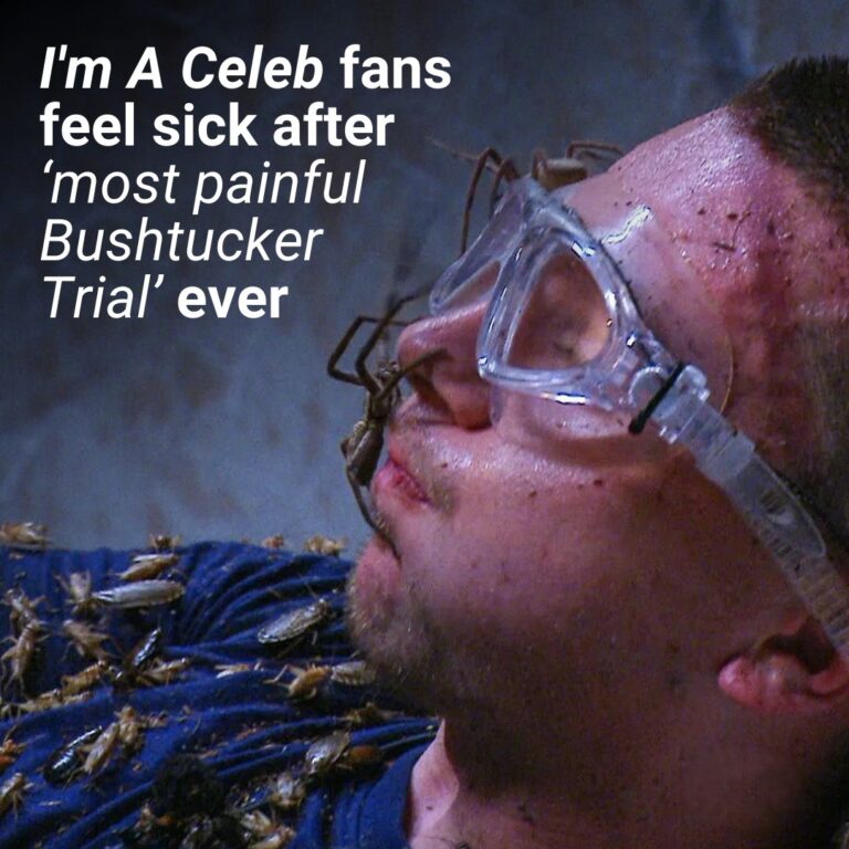 I’m A Celebrity fans feel sick after ‘most painful Bushtucker Trial in show’s history’