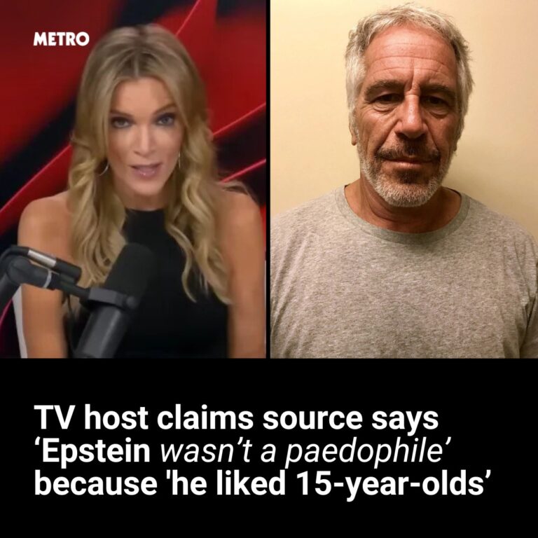 Television host claims source says ‘Epstein wasn’t a paedophile’ in on screen rant