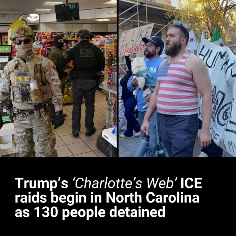 What are Trump’s ‘Charlotte’s Web’ ICE raids in North Carolina?