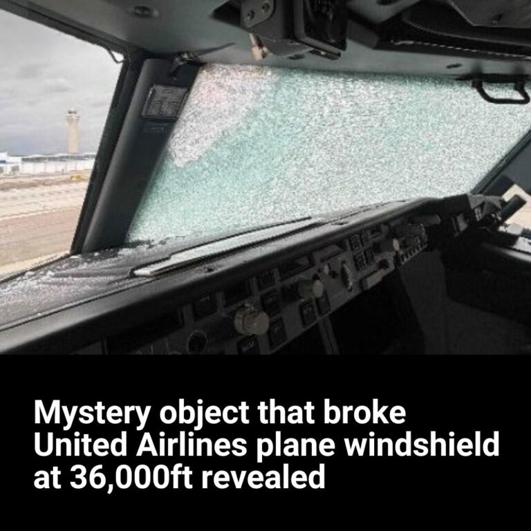 Mystery object that broke United Airlines plane windshield at 36,000ft revealed