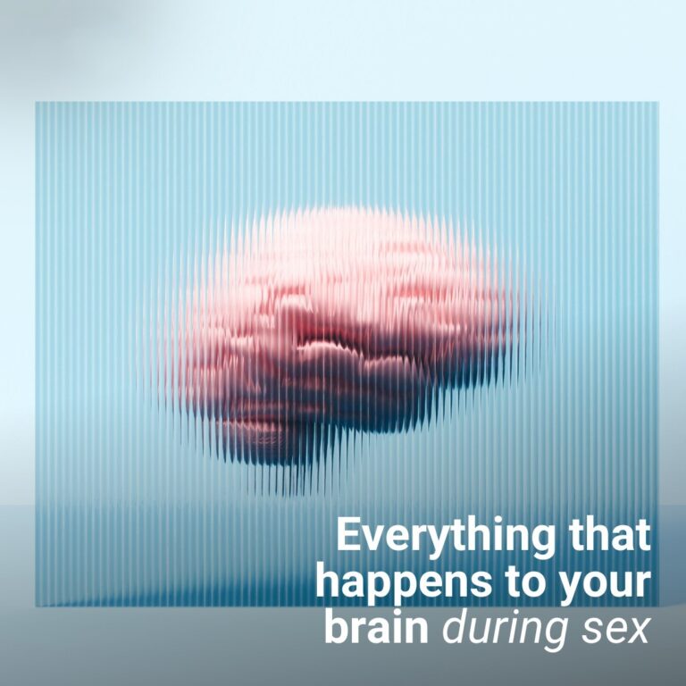 Everything that happens to your brain during sex