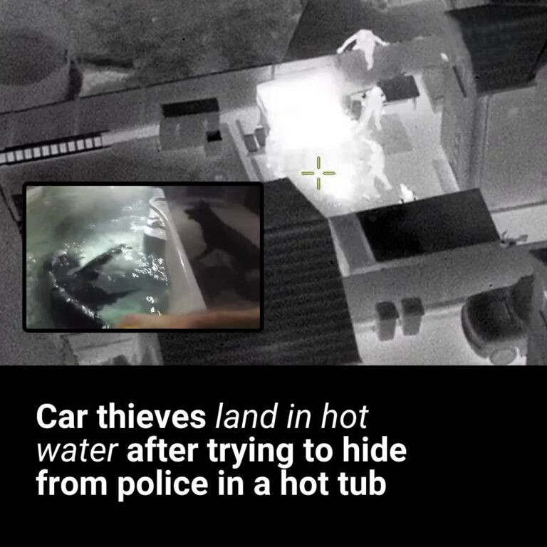 Car thieves land in hot water after trying to hide from police in a hot tub