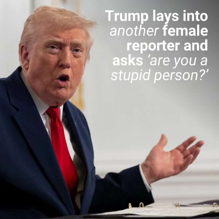 Trump lays into another female reporter and asks ‘are you a stupid person?’
