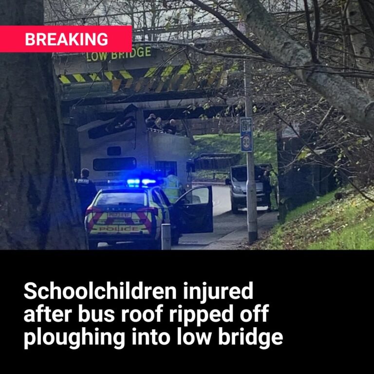 Schoolchildren coming back from swimming class injured after bus ploughs into low bridge