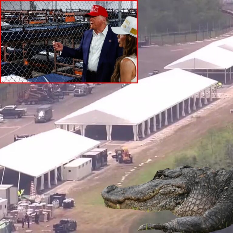 WATCH: A Look into ‘Alligator Alcatraz’ Illegal Alien Detention Facility