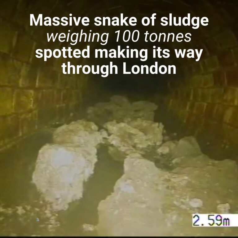 Massive snake of sludge weighing 100 tonnes spotted making its way through London