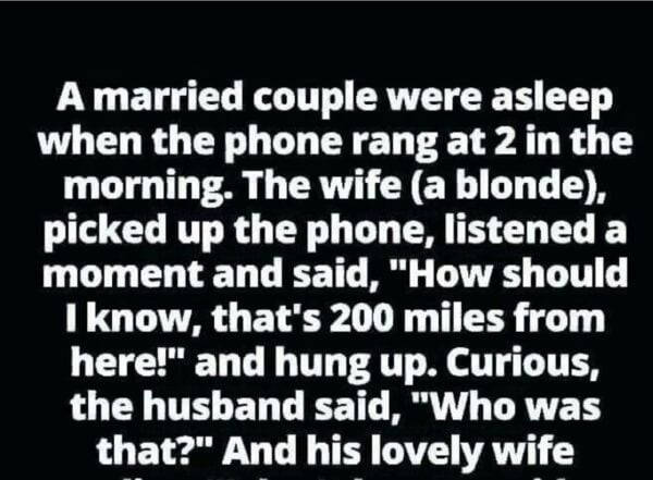 “Midnight Call Confusion That Will Leave You in Stitches!”