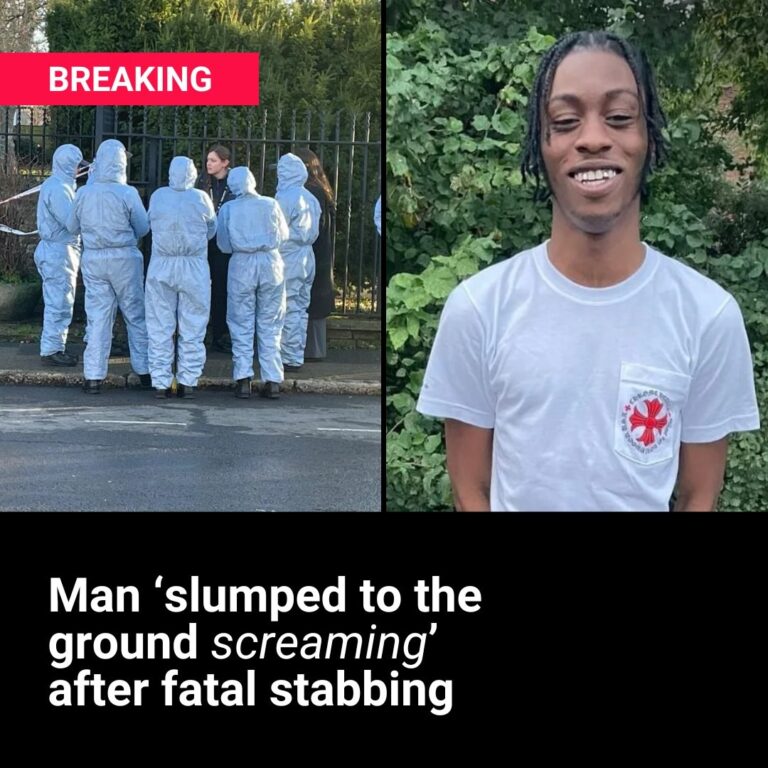 Man ‘slumped to the ground screaming’ after fatal London stabbing