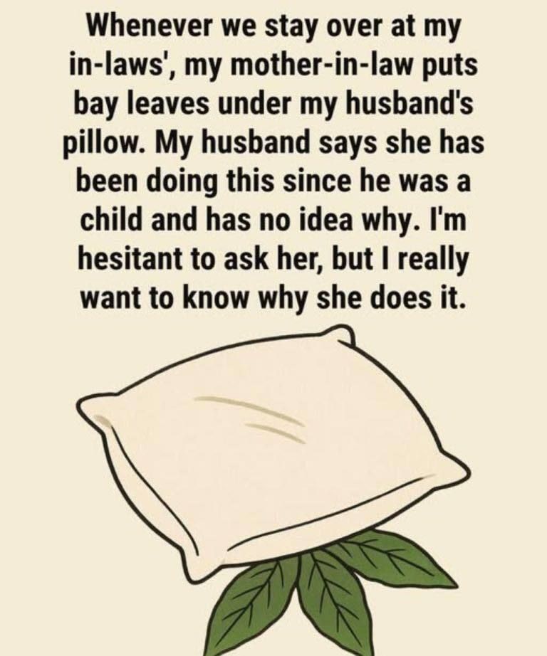 A Gentle Nighttime Ritual: How the Calming Scent of Bay Leaves May Help You Relax Before Sleep