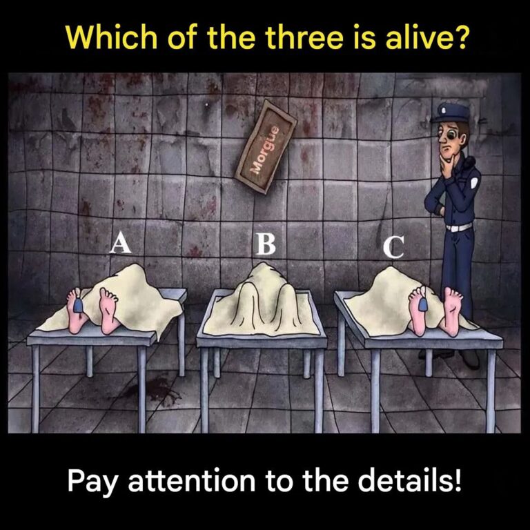 Visual puzzle: can you guess who is still alive?