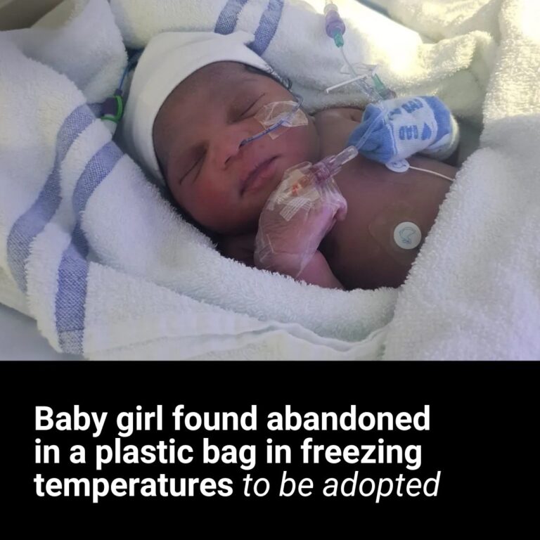 Baby Elsa set to be adopted a year after being found in a shopping bag in London