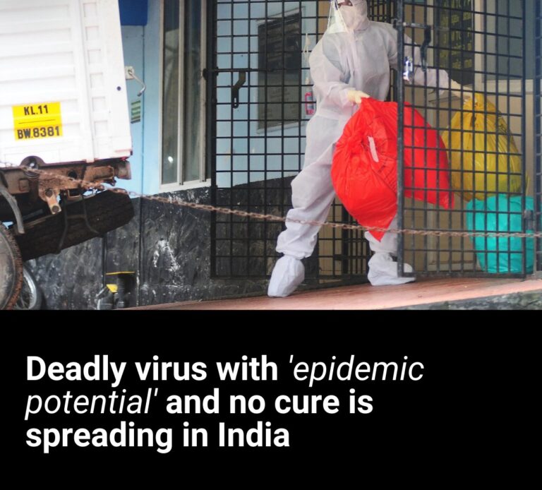 ‘Epidemic potential’ Nipah virus with no vaccine or treatment spreading in India