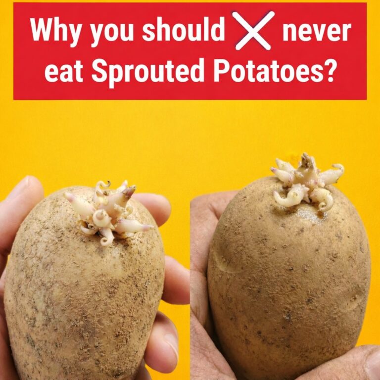 Eating Sprouted Potatoes: Is It Safe? Here’s What You Should Know