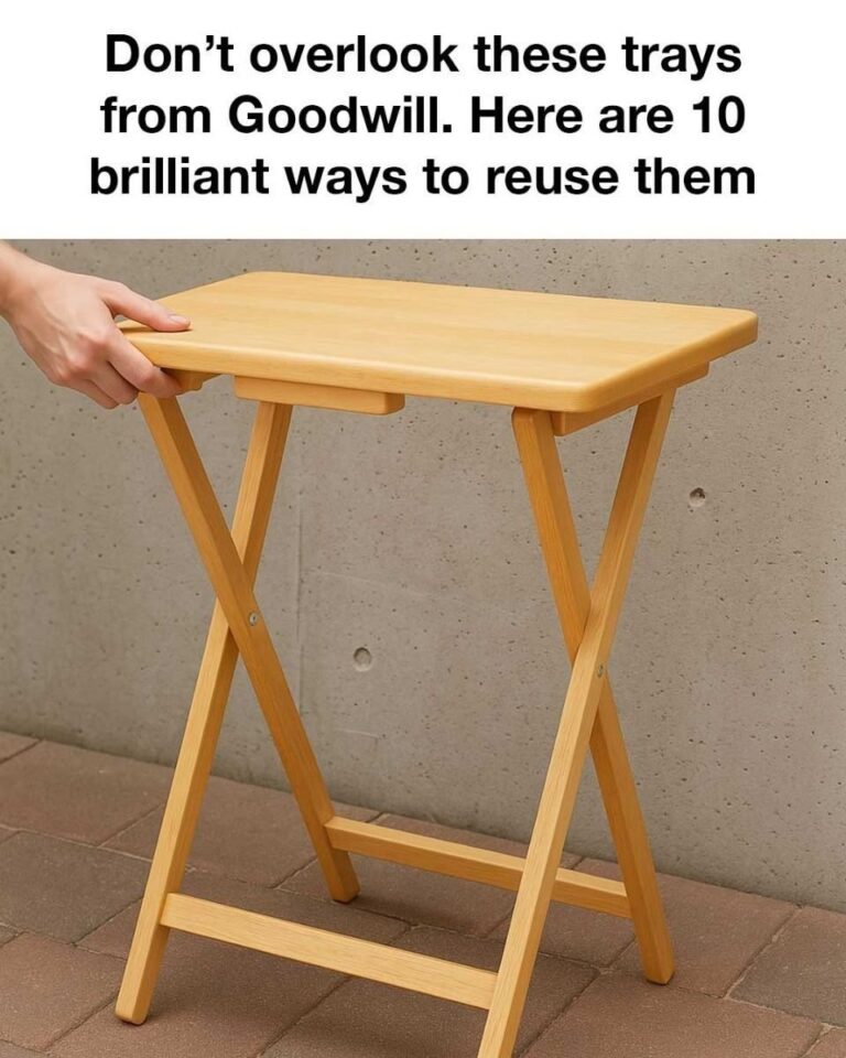 10 Brilliant Ideas to Reuse Goodwill Trays You Might Overlook