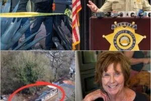 HT7. 20 Minutes Ago In Arizona, Tommaso Cioni Was Confirmed As…See More