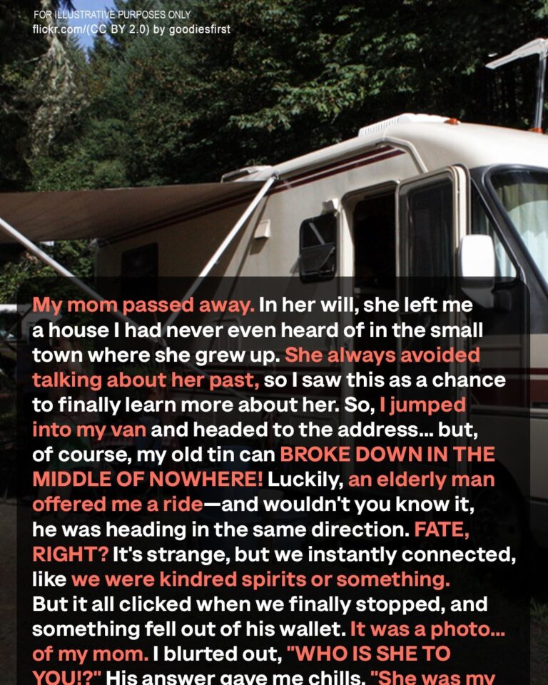 I Set Off in My RV to Scatter My Mother’s Ashes But Met a Man Who Revealed a Shocking Family Secret