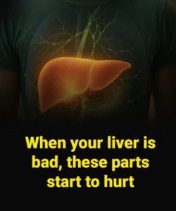 When your liver is bad, these parts start to hurt