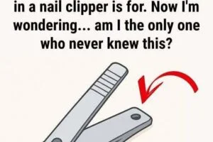 Why Your Nail Clipper Has That Small Round Hole and Why It Still Matters Today