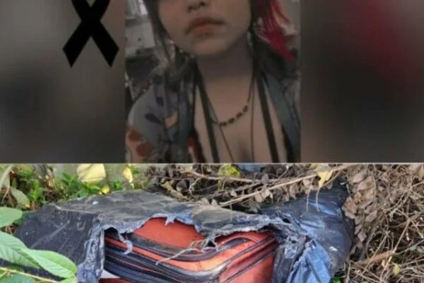 The search for 18-year-old twins Carolina and Luiza is over, they were dea… See more