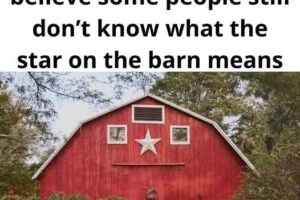 The True Meaning Behind “Barn Stars”