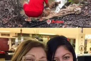 Mother and daughter die from the same cause within hours apart, they had a… See more