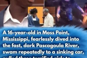 Teen’s Quick Thinking During River Emergency Shows the Importance of Awareness and Responsibility