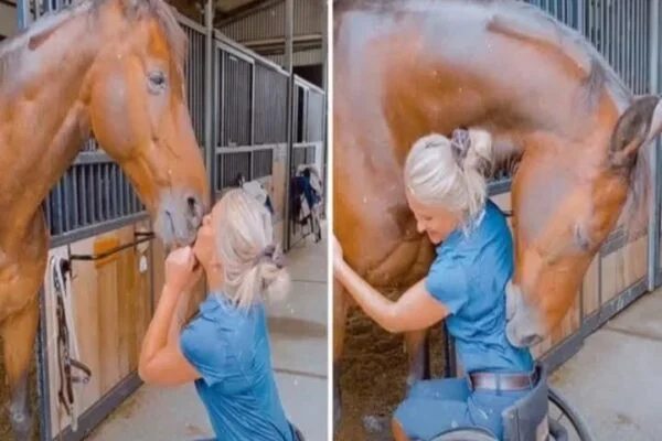 Young woman was hospitalized after being penetrated…See more