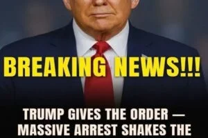 When a Split-Second Decision Changes Everything: Lessons From a Border Checkpoint Case