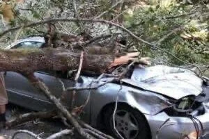 Popular comedian died in sad accident when massive tree limb fell on top of him…