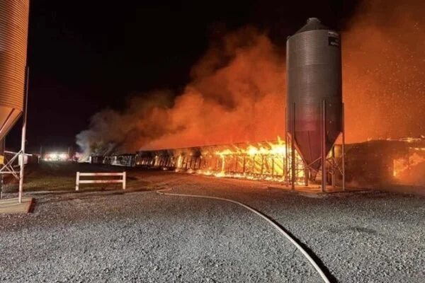 BREAKING: At least 300 homes estimated damaged or destroyed after large fire…See more